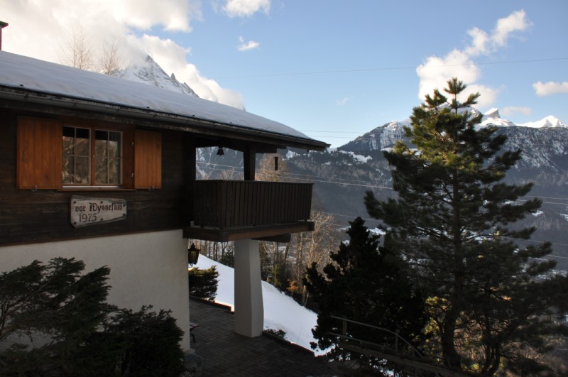 Chalet Haus 1