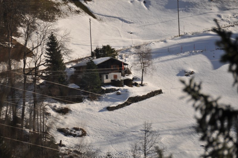Chalet Haus 5